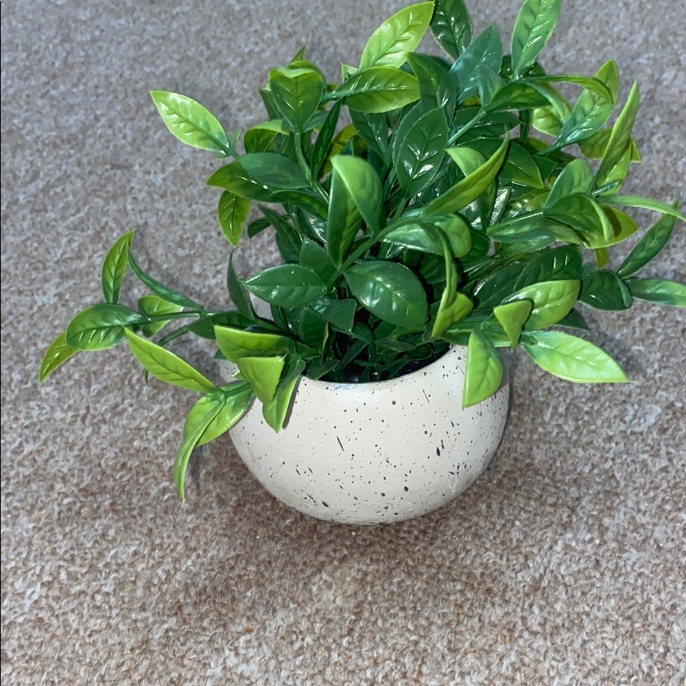 Dorm Decor Home Office Green Faux Plant in White Speckled Pot